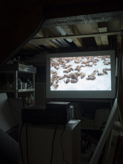 . 2024, Montreuil, delaunay-quentel.