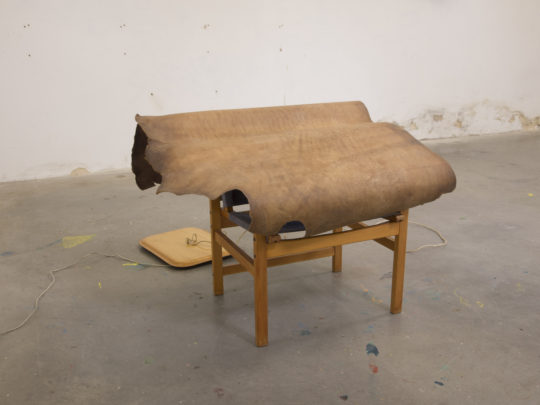 . 2024, carquefou, expo, grand frais (2).