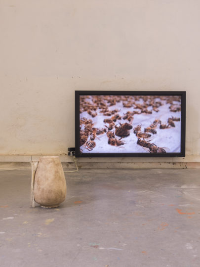 . 2024, carquefou, expo, grand frais (2).