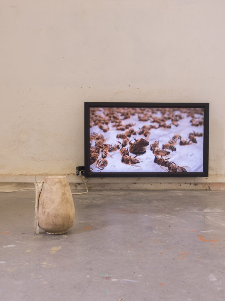 . 2024, carquefou, expo, grand frais (2).