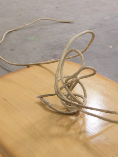 . 2024, carquefou, expo, grand frais (2).