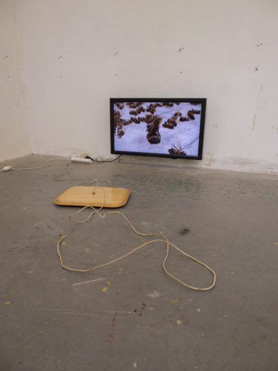 . 2024, carquefou, expo, grand frais(1).