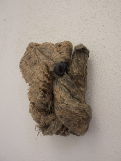 . 2024, carquefou, expo, grand frais(1).