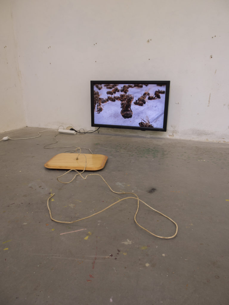 . 2024, carquefou, expo, grand frais(1).