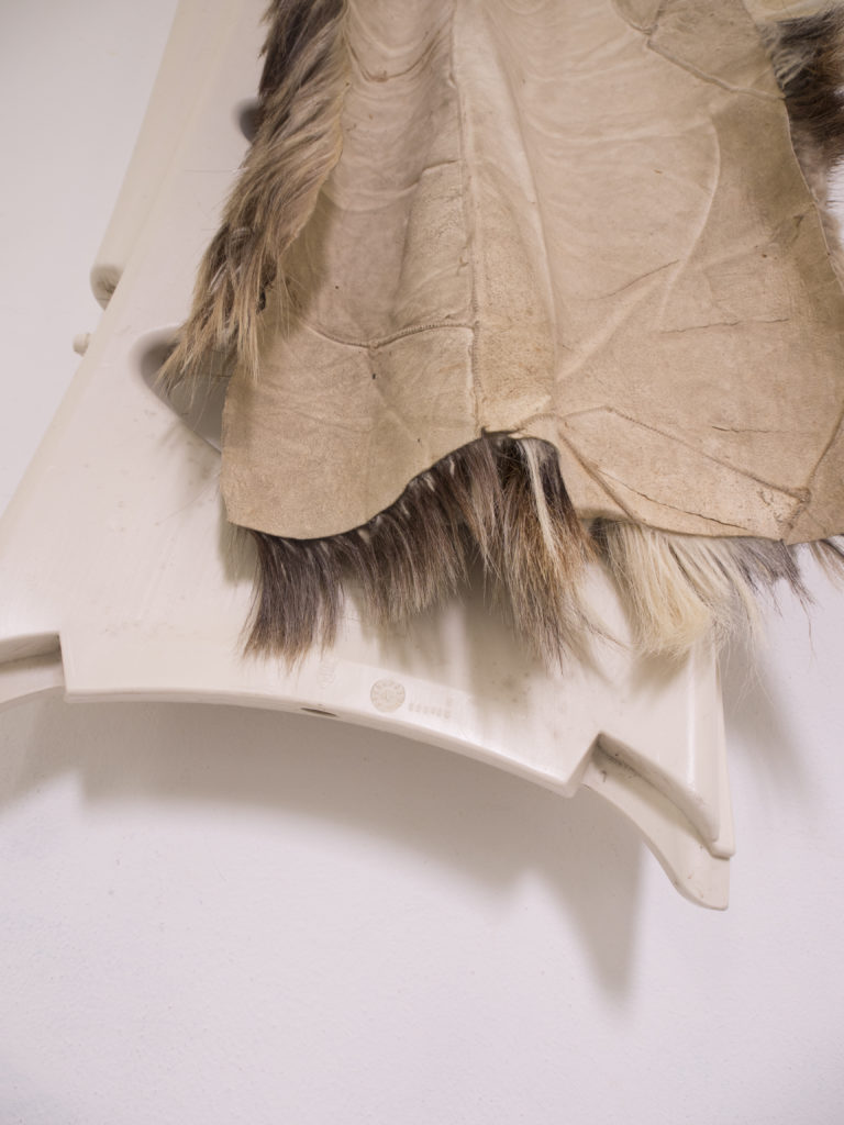 . 2024, carquefou, expo, grand frais (2).